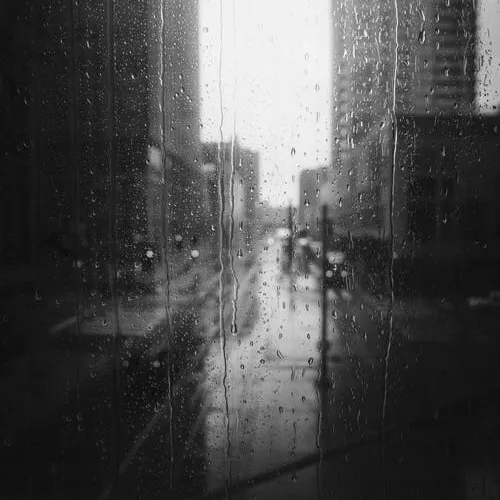 _.nycto._
