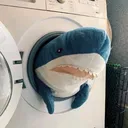 @willy_theshark