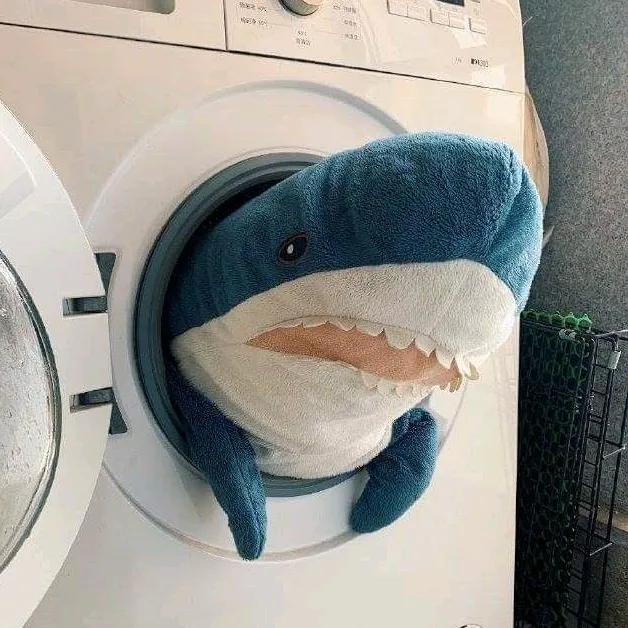 willy_theshark
