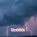 @plumwildweatherwx