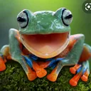 @the_frog_2