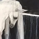 @hypnotyger