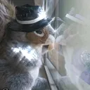 @nutzo_lot