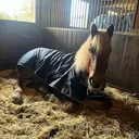 @_.coldblood.dressage_