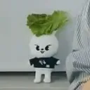@caleyentology