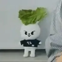 @caleyentology