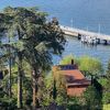 house_for_sale