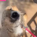 @ljzmswhpy