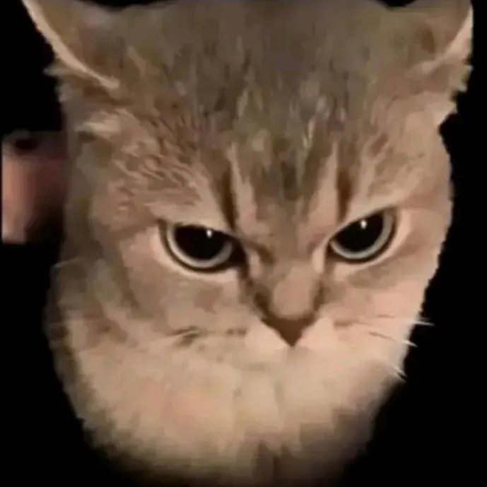 .nniko06