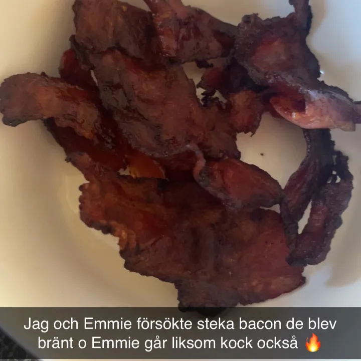 @esteremilsson.com.se.www