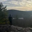@ants.thinking