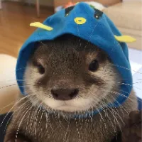 justjamesa
