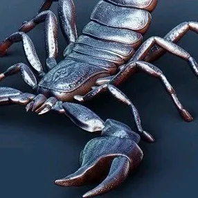 skarpiyon0777