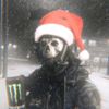 xqrexxx