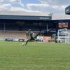 ste_kelly1