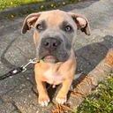 @lifeofpacoo
