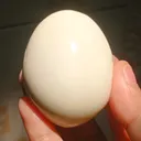 @taootaa98