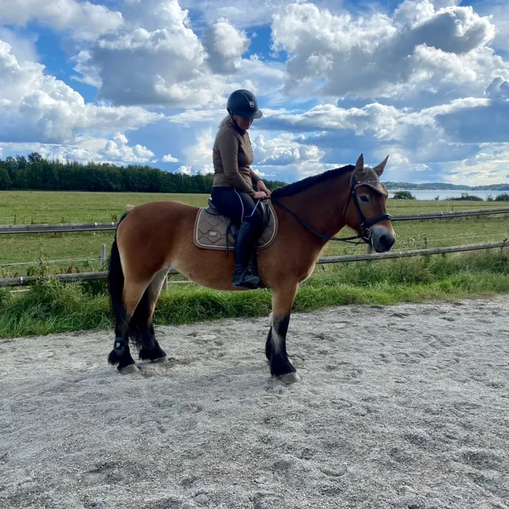 berglinlouise
