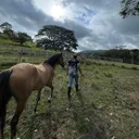 @dieguitosanchez7
