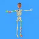 @hammertoes.bro