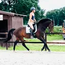 @equestelli