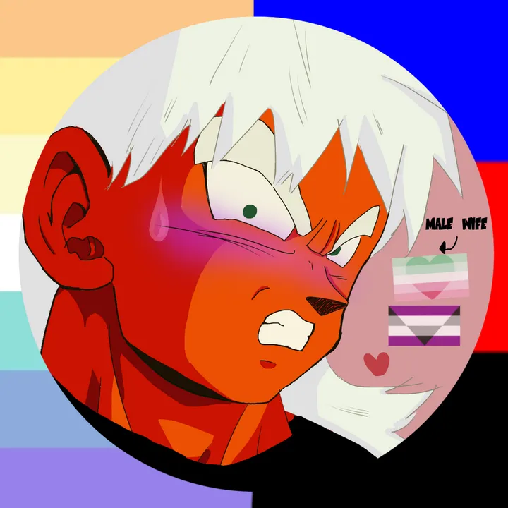 sans_husband