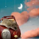 @bob_the.hamster