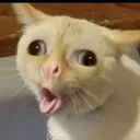 @crazyjamjam2