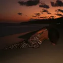 @kleaprengaa_