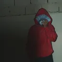 @verstappen06