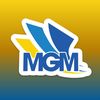 iflymgm