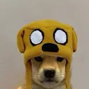 @vornine_