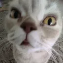 @ytfuuog