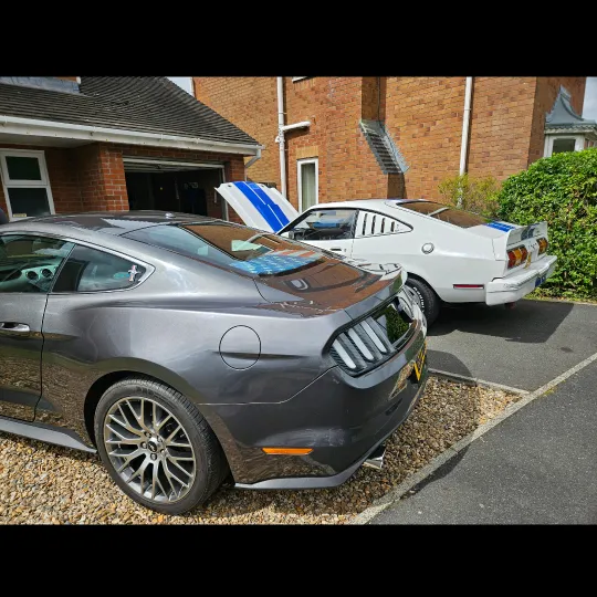 mustangmack
