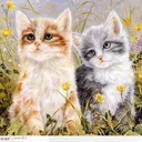 @ilike.funnycats.93