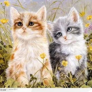 @ilike.funnycats.93