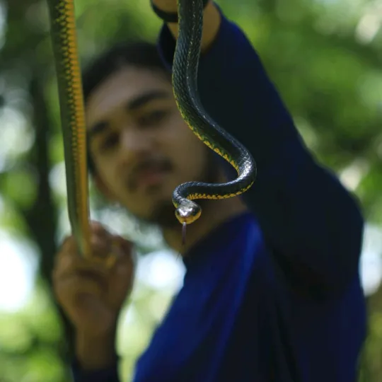 triniwildlifeadventures