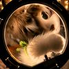 neiko_fox