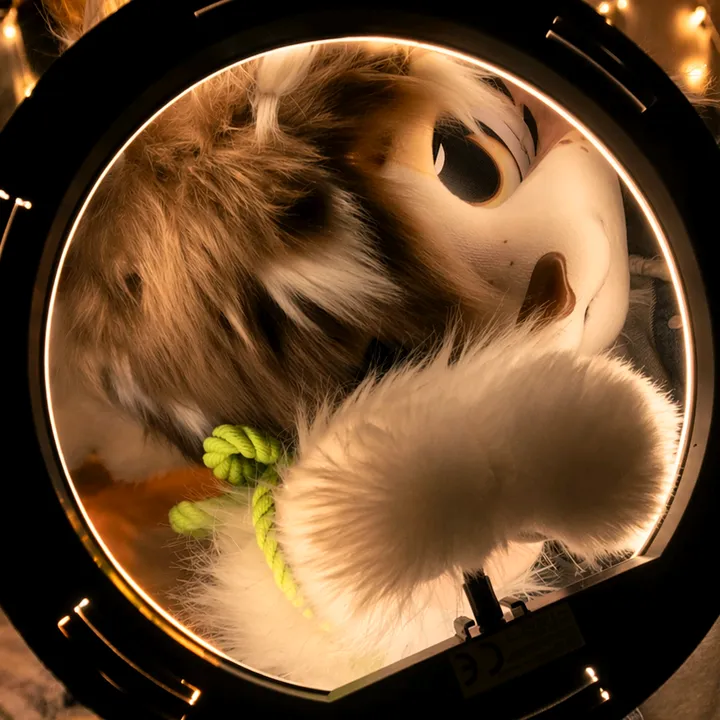 neiko_fox