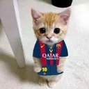 @kmvg31