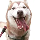 @fur_mama