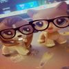 garnetlps