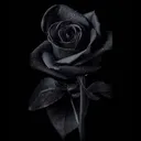 @holmzwrld