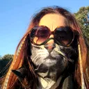 @teammainecoondevy2b