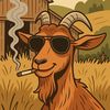 m.a.thegoat16