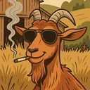@m.a.thegoat16