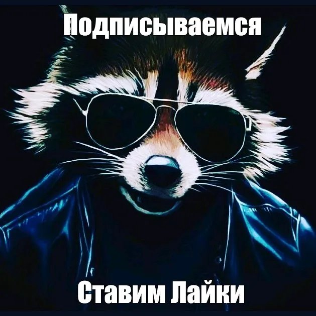@ded_efim_