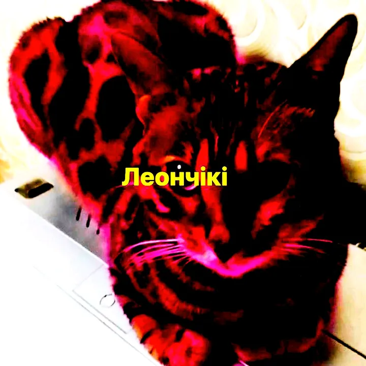 @s0wor