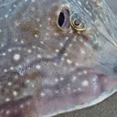 @fishing_mad