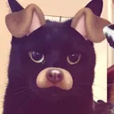 @chcokicrz